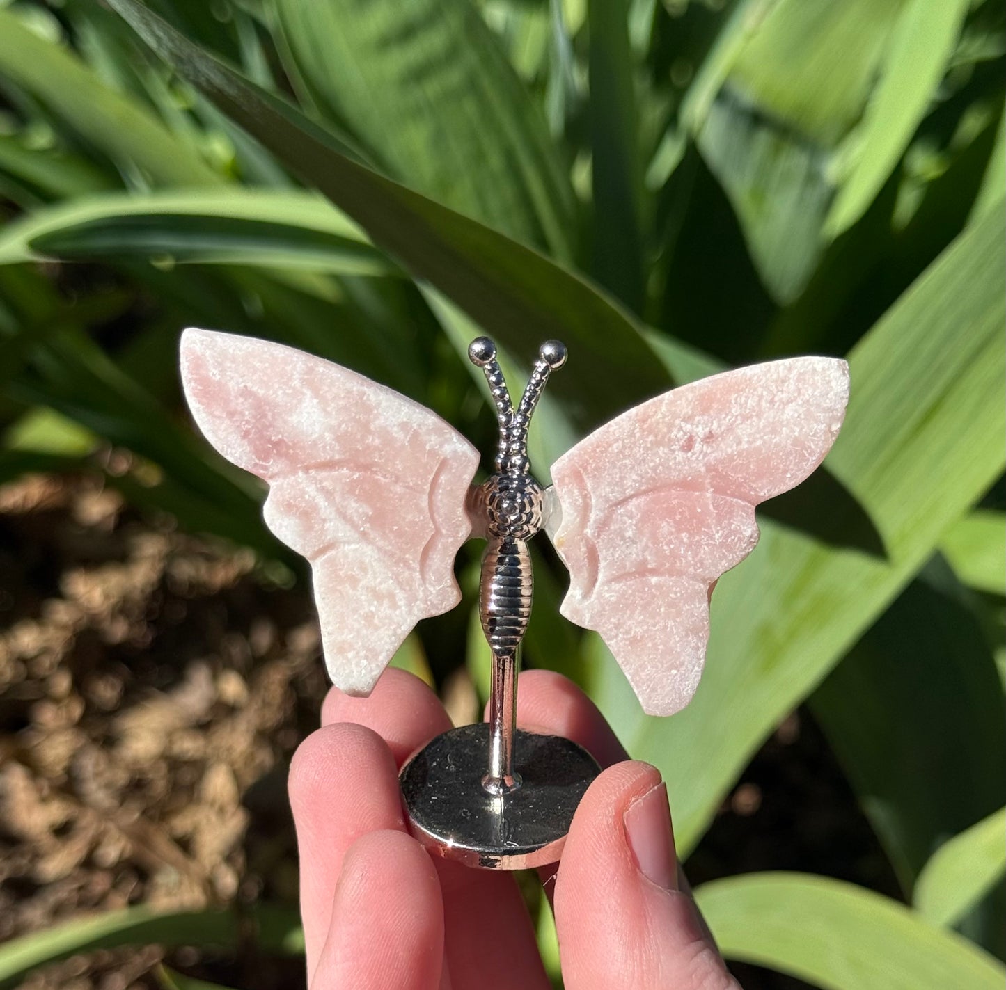 Butterfly Wings on Stand