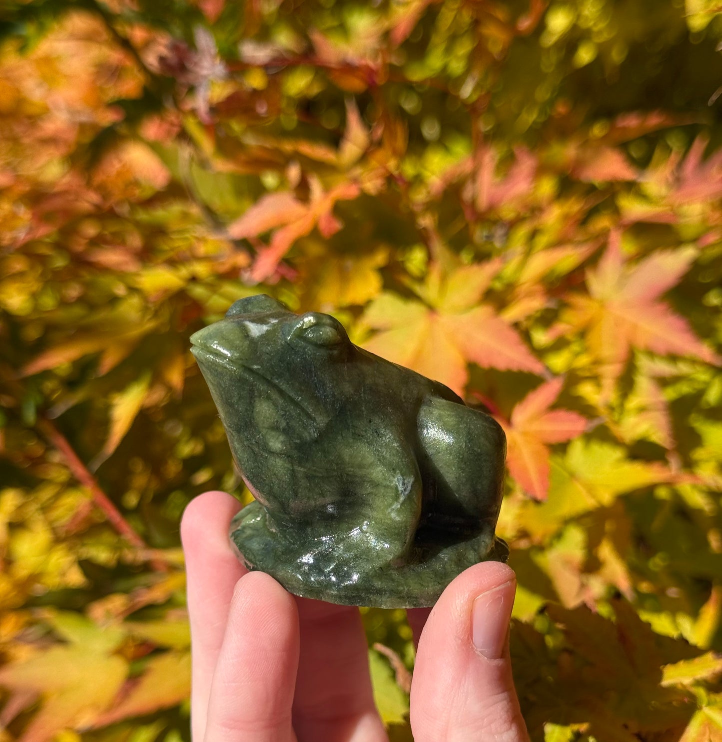 Green Jade Frog