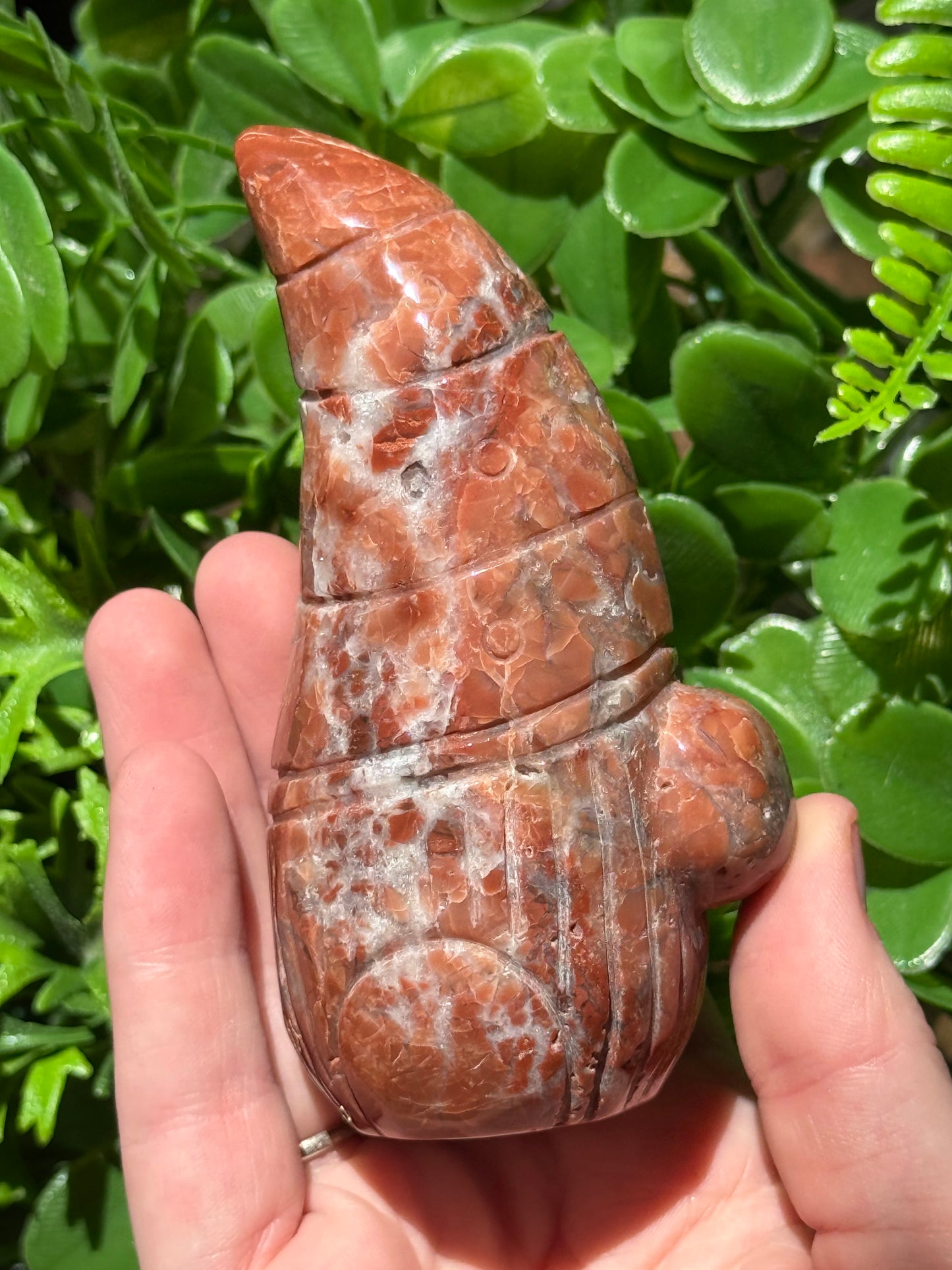 Gnomes