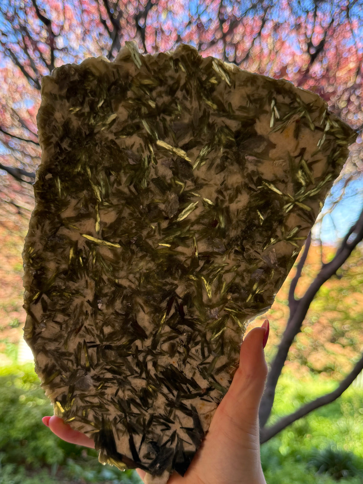 Green Mica Huge Slab