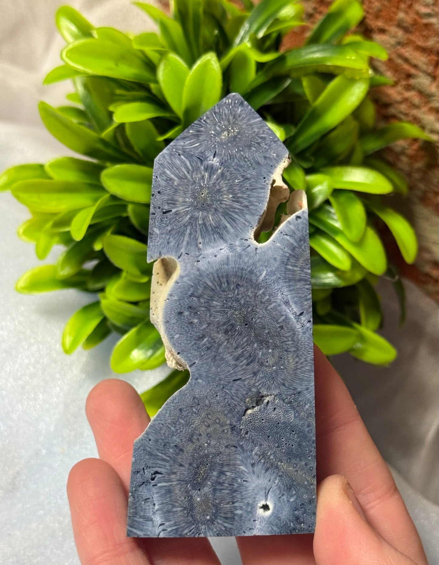 Coral Jasper Towers