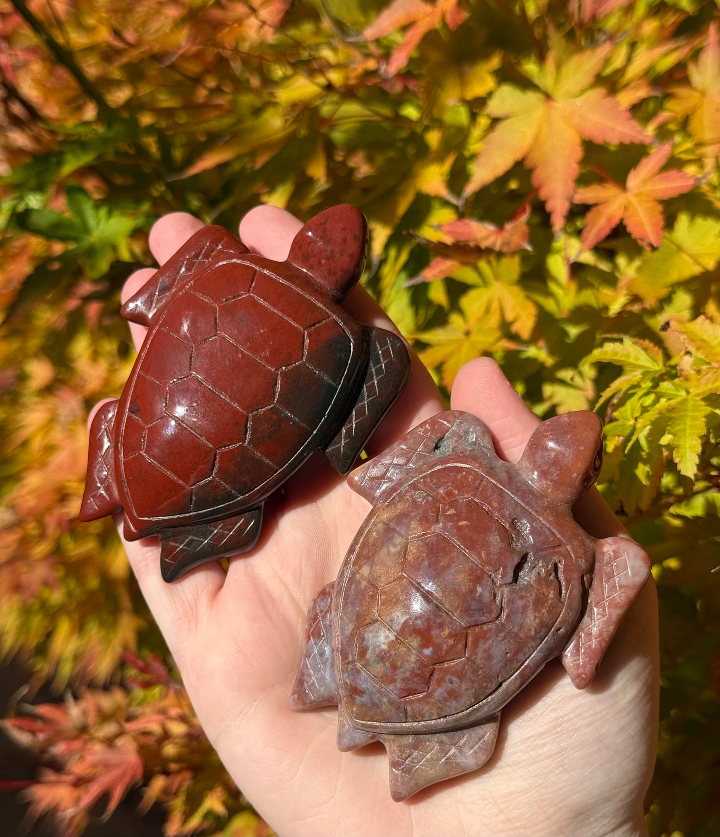 Ocean Jasper Turtles