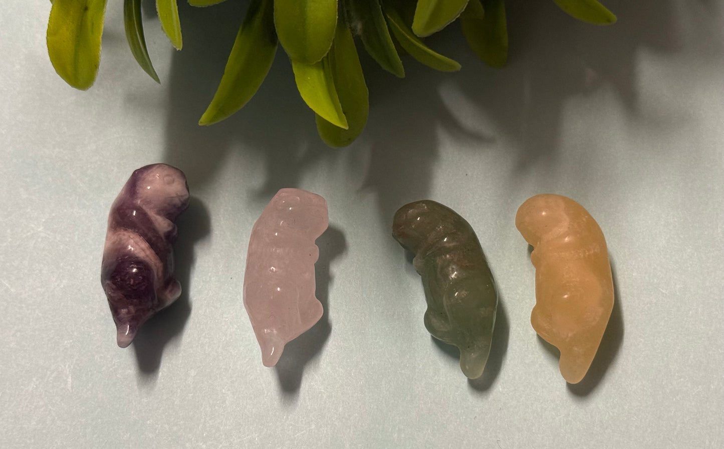 3cm Otter
