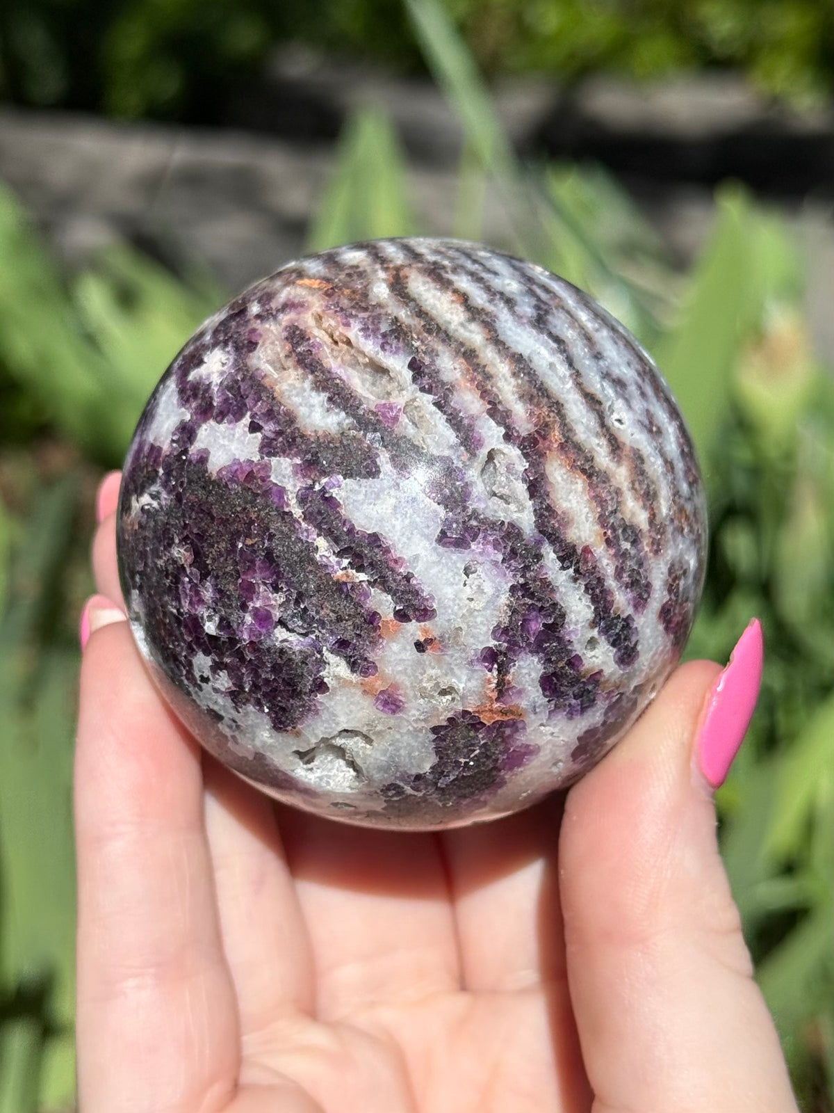 Purple Zebra Jasper Spheres