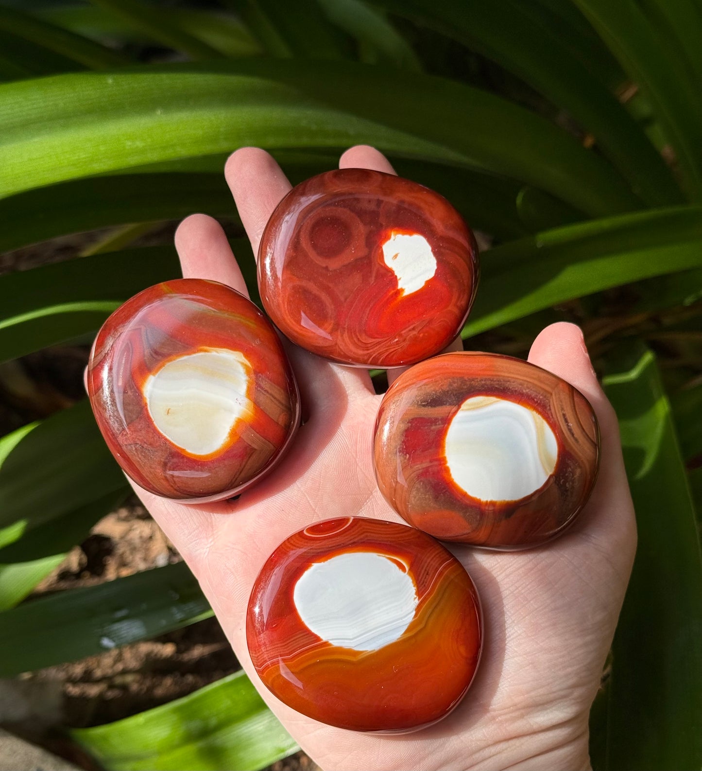 Carnelian Palmstone