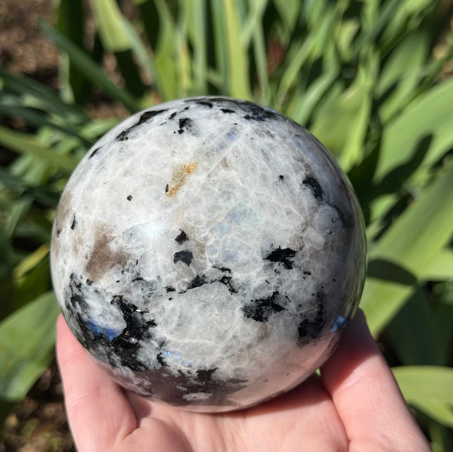 XL Rainbow Moonstone Sphere