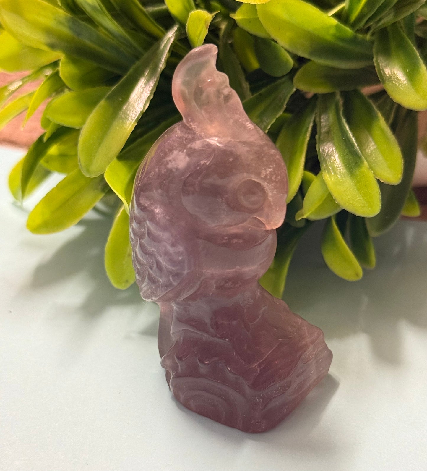 Fluorite Parrot