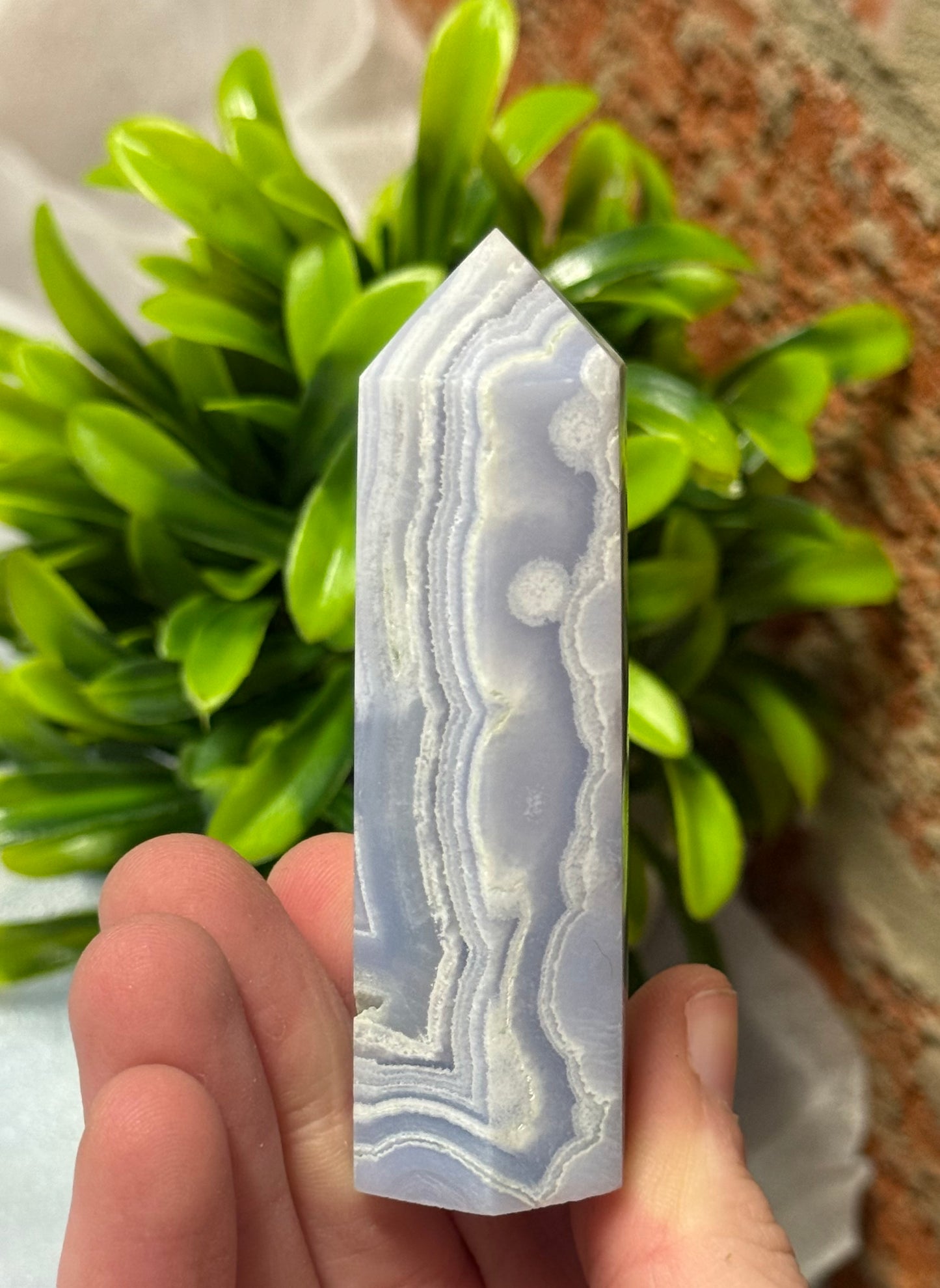 Blue Lace Points