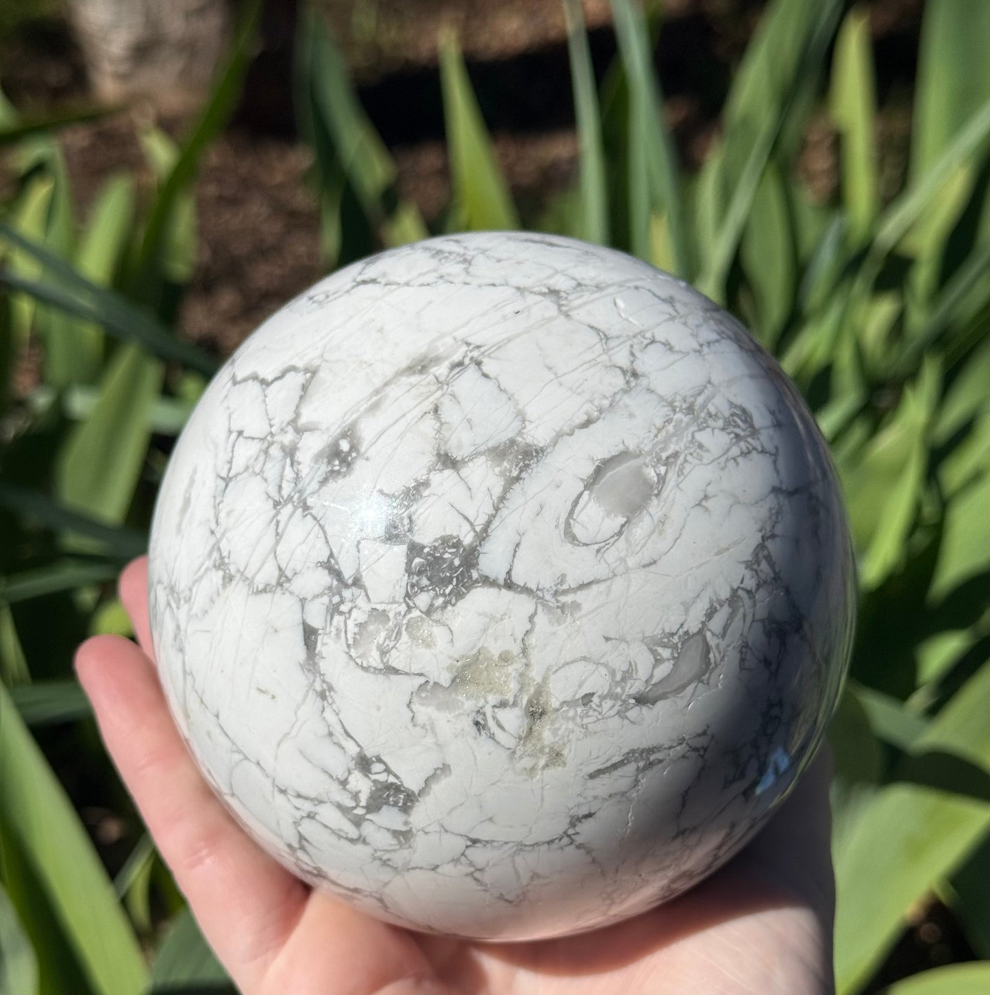 XL Howlite Sphere