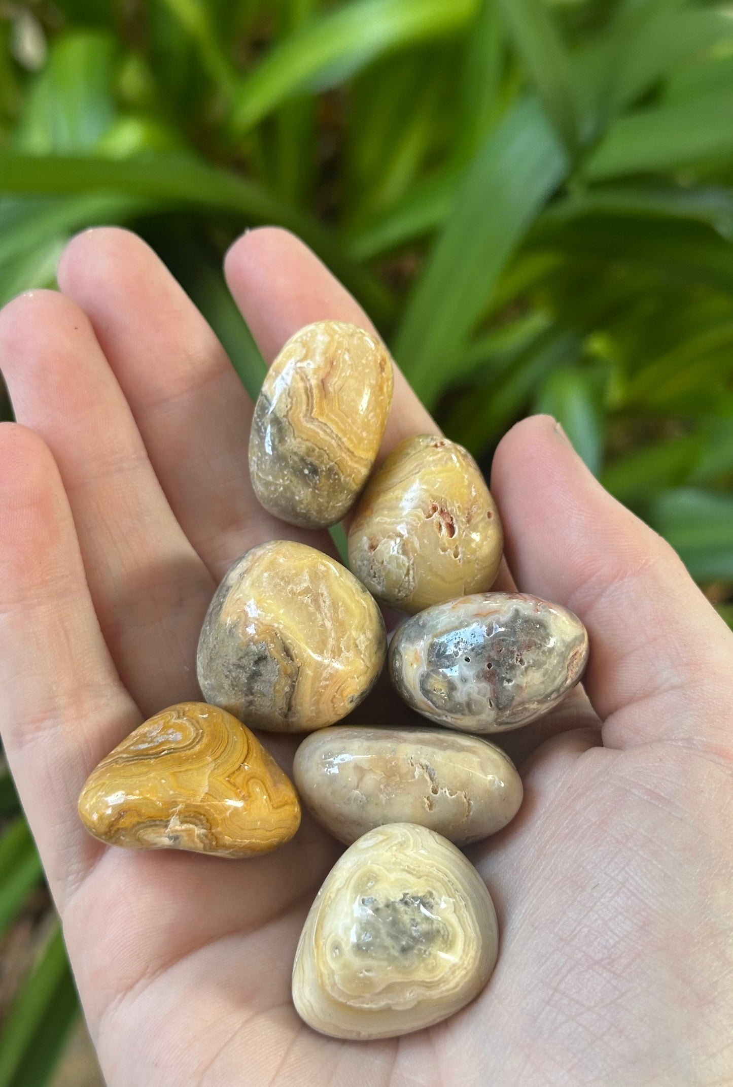 Crazy Lace Agate Tumble