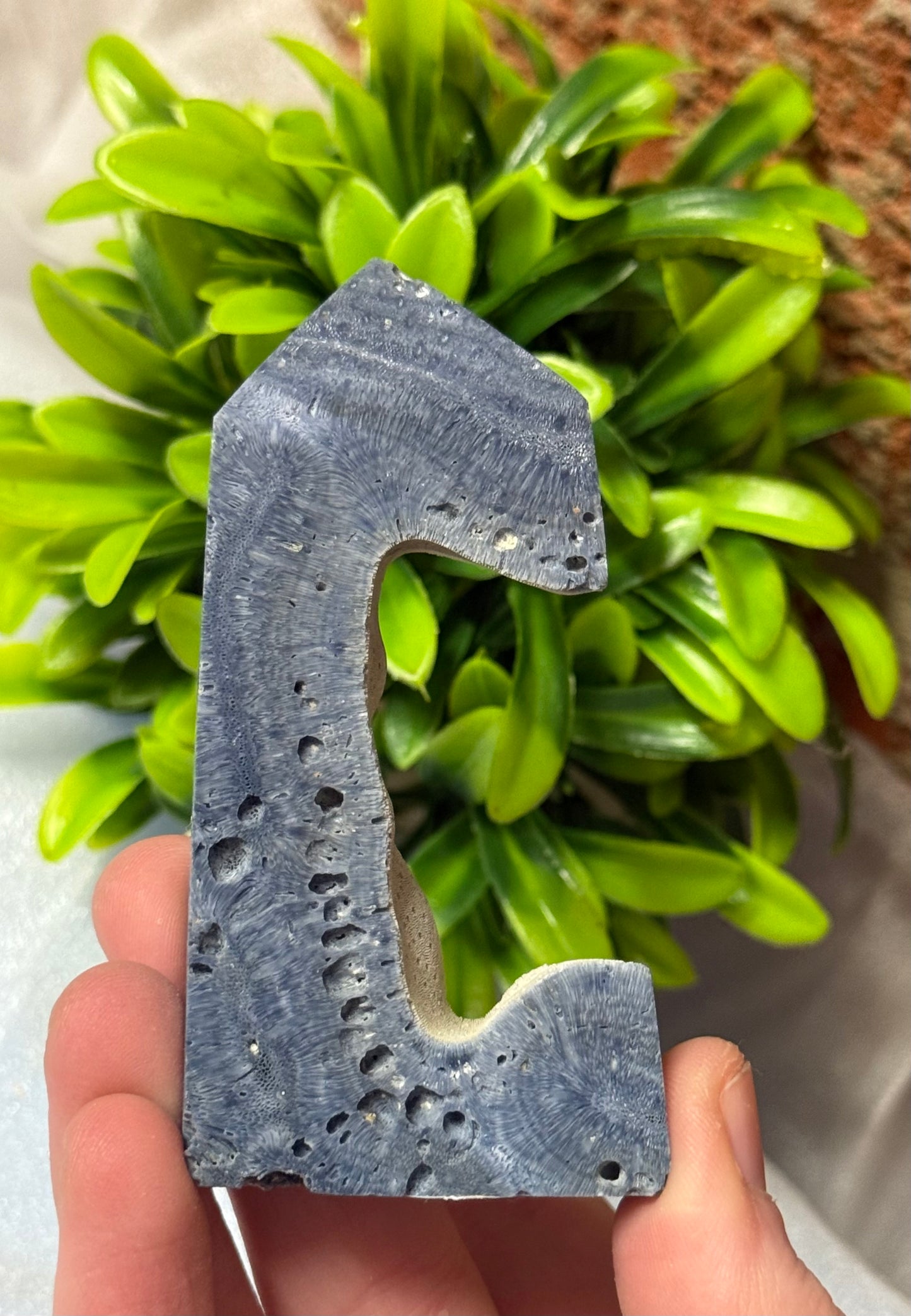 Coral Jasper Towers
