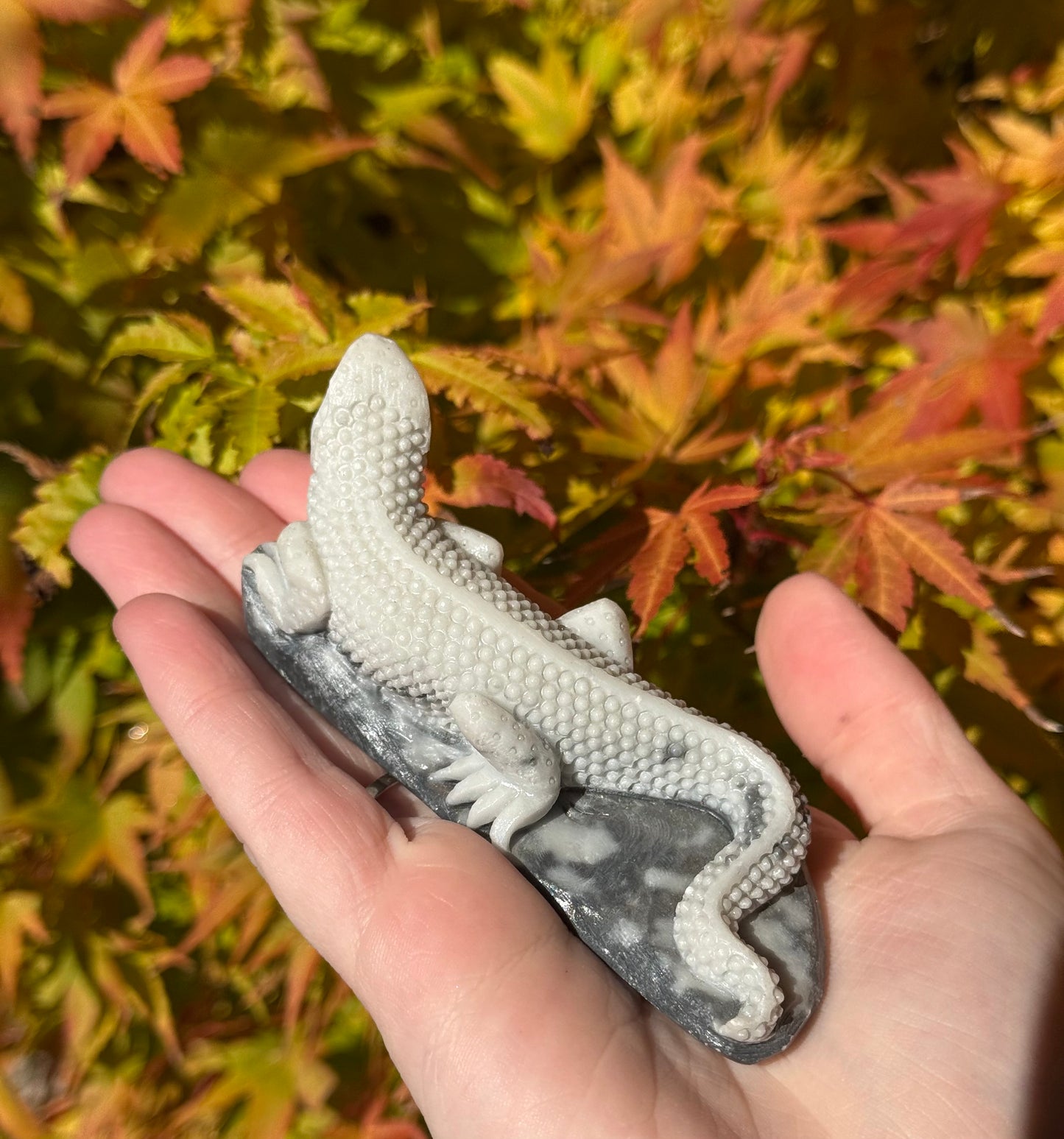 Tai Chi Jasper Lizards