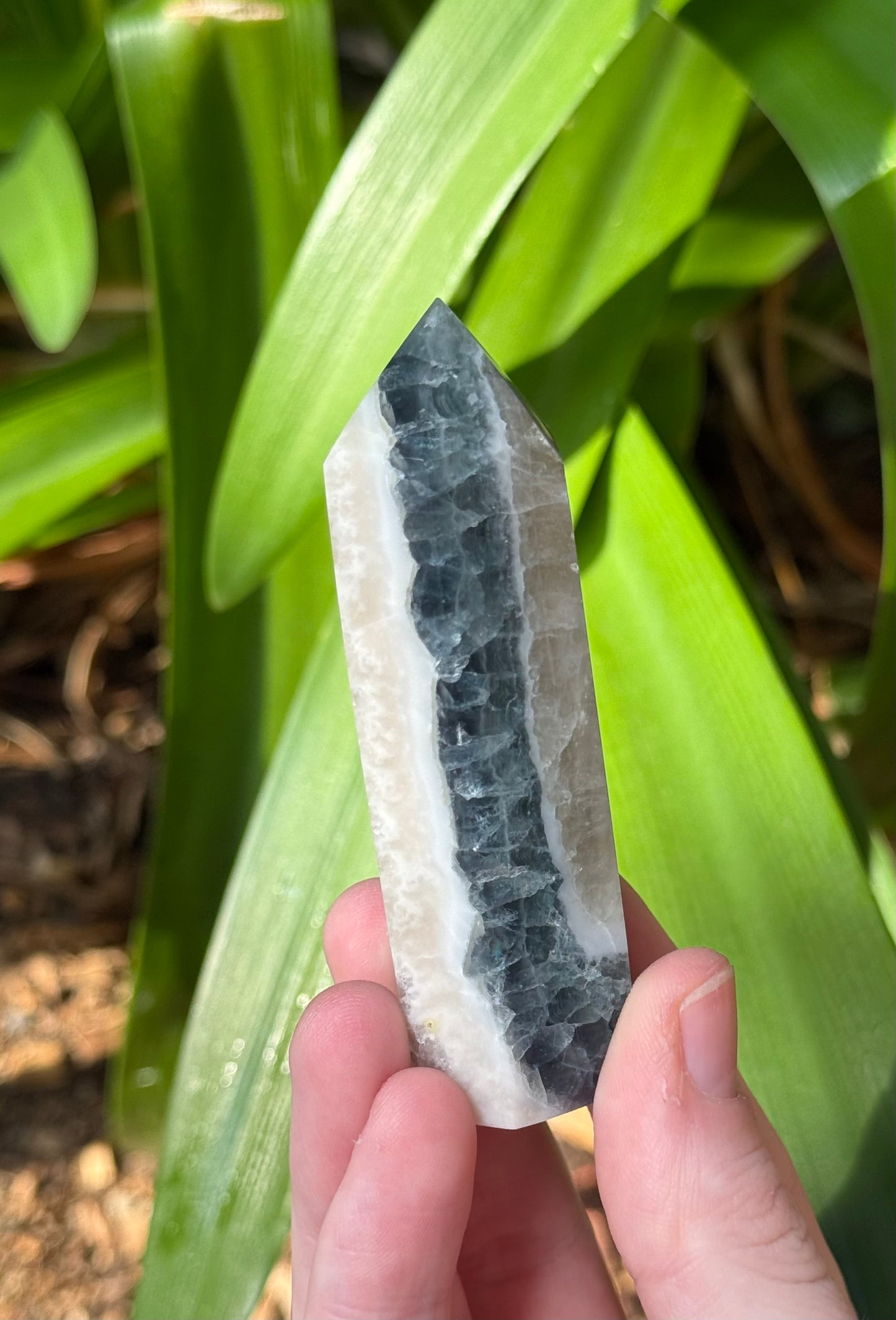 Fluorite in Calcite Points