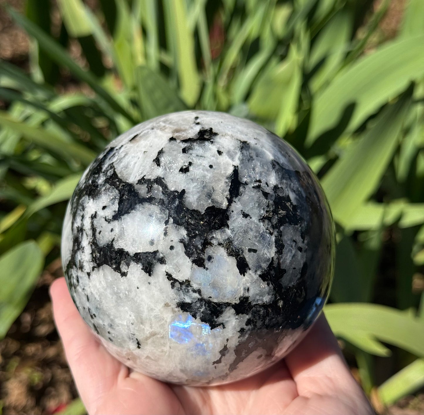 XL Rainbow Moonstone Sphere