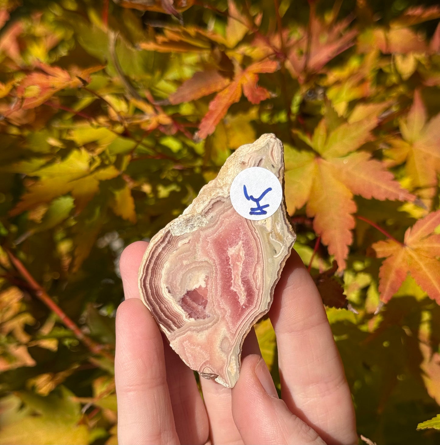 High Grade Rhodochrosite Slab #3