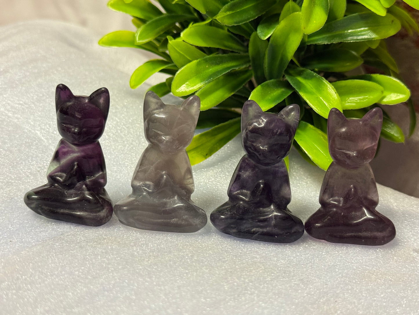 Fluorite Yoga Kitty