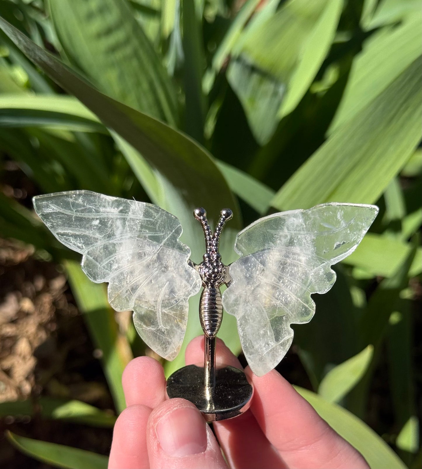Butterfly Wings on Stand