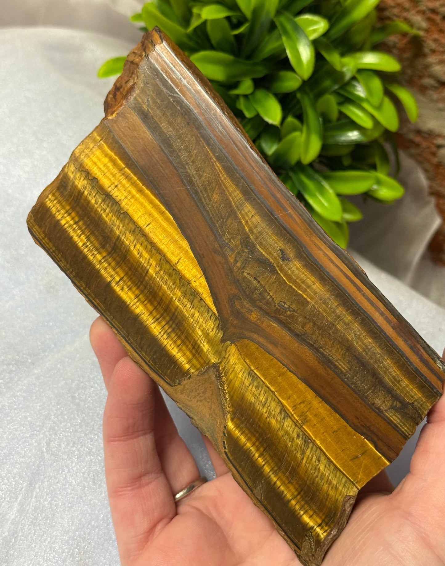 Tigers Eye Slabs