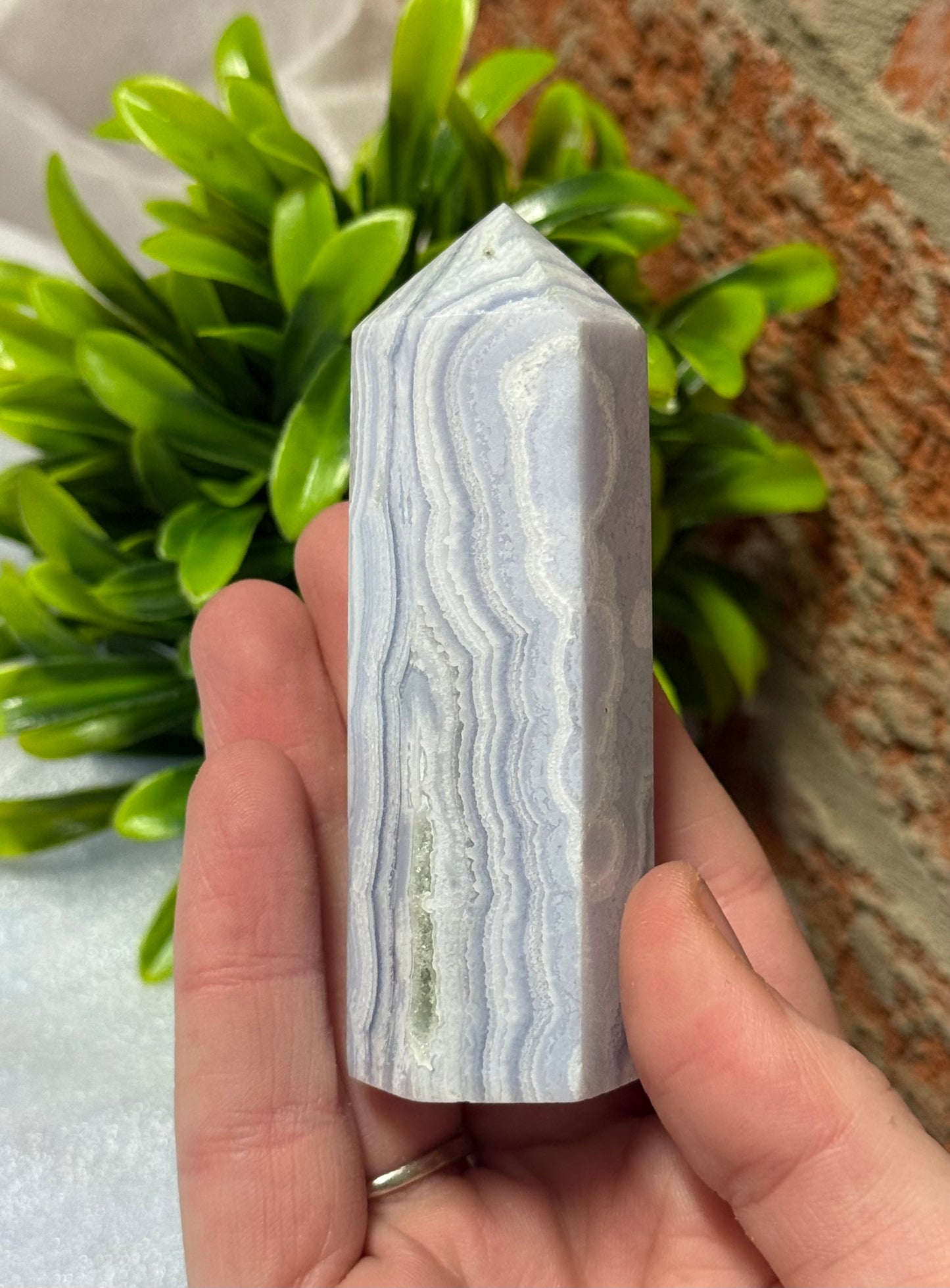 Blue Lace Points