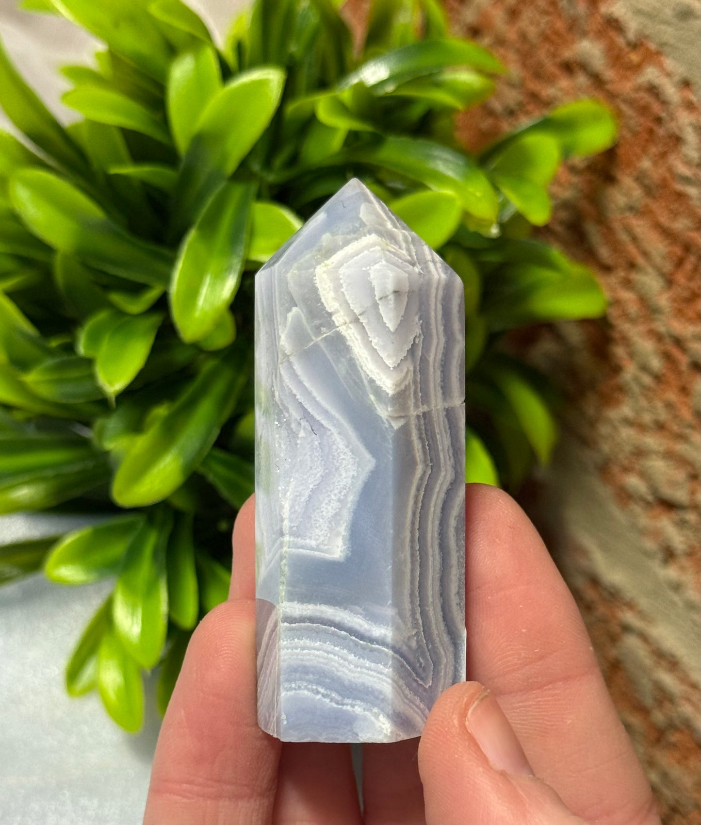 Blue Lace Points
