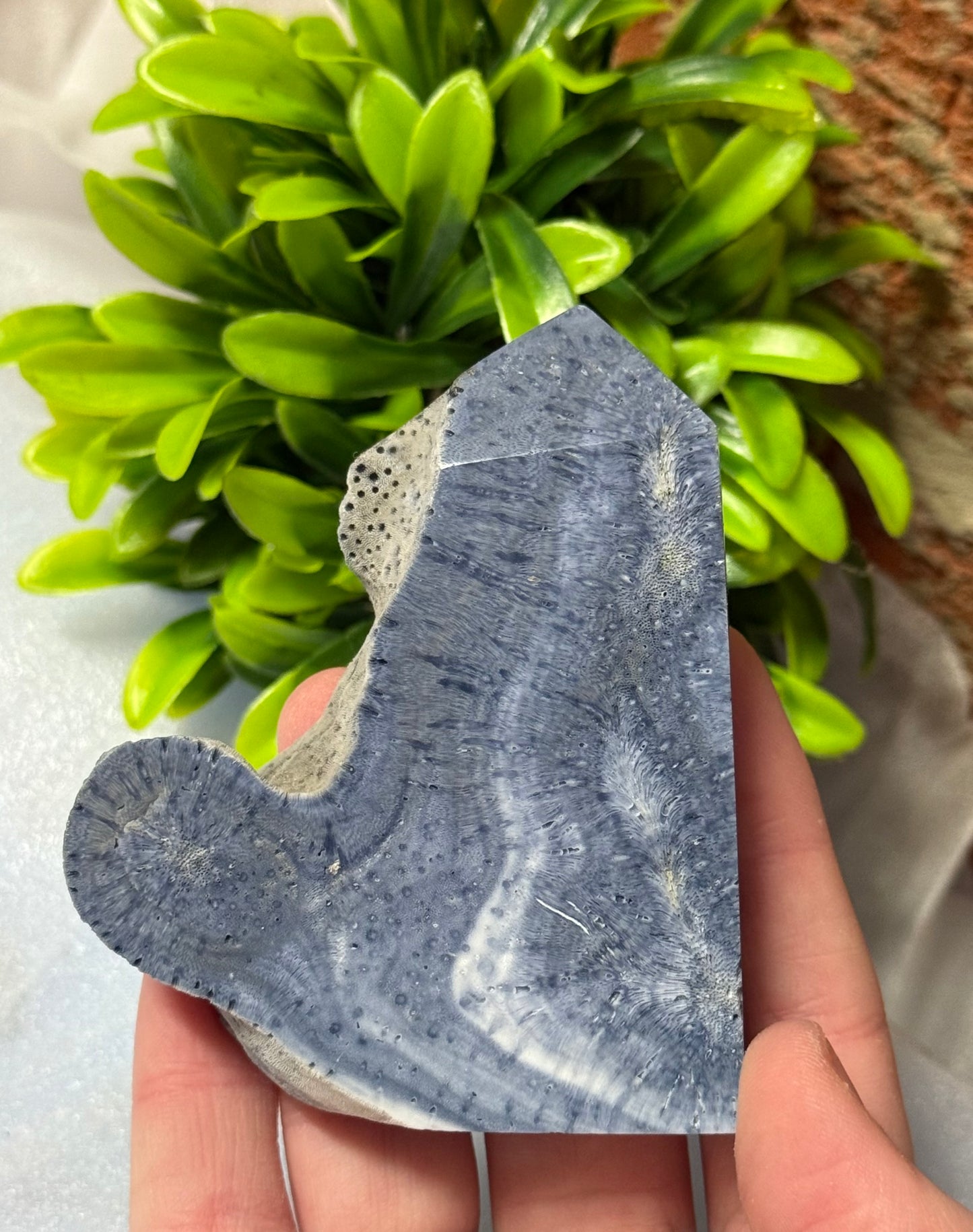 Coral Jasper Towers