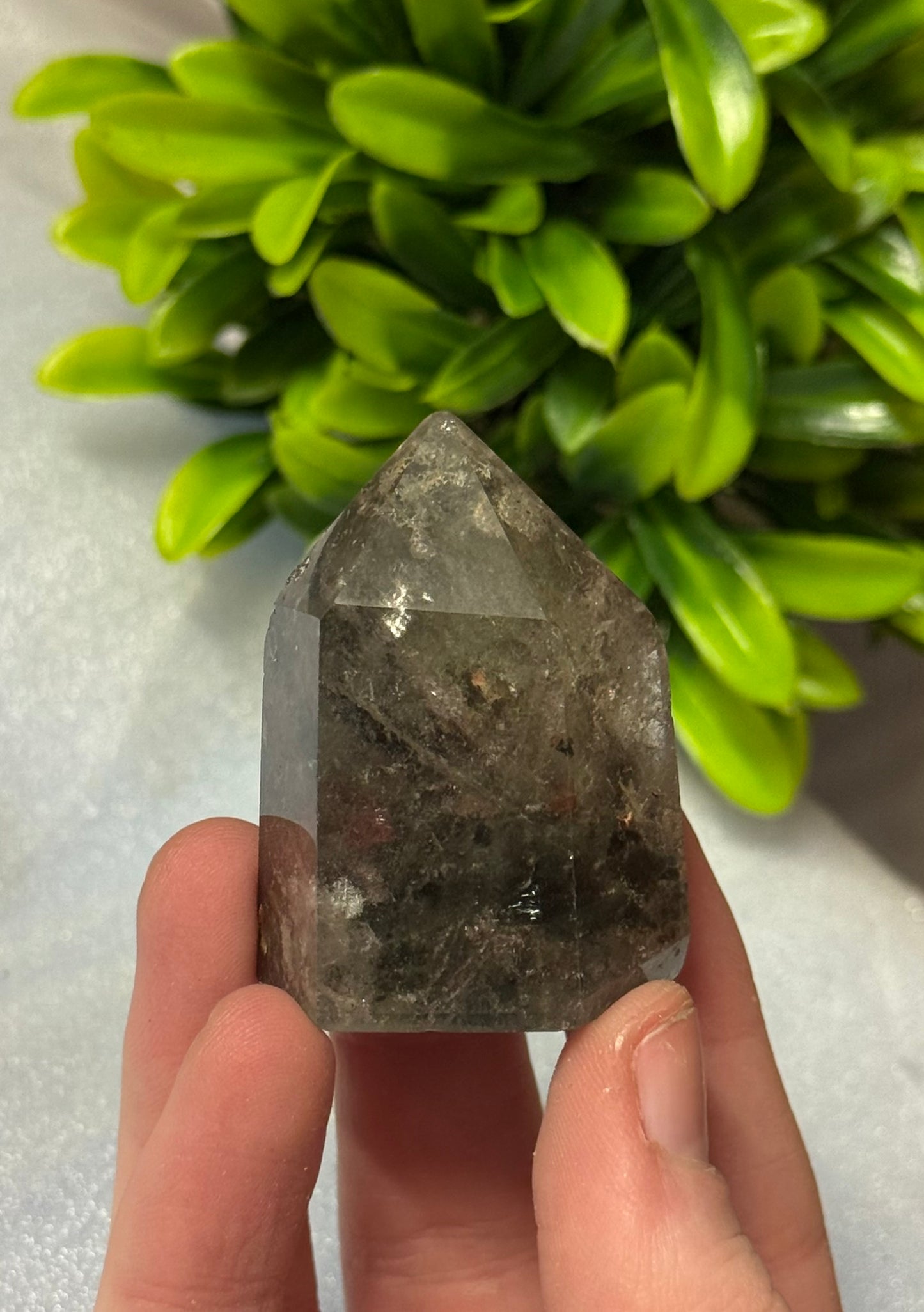 Garden Quartz Point