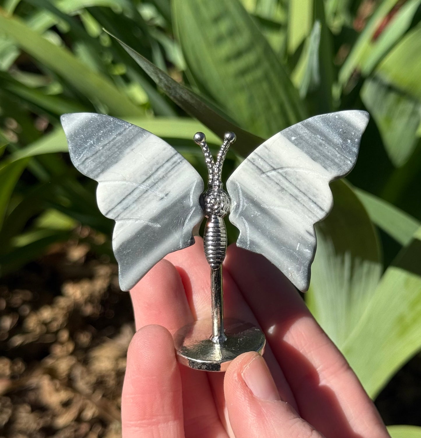 Butterfly Wings on Stand