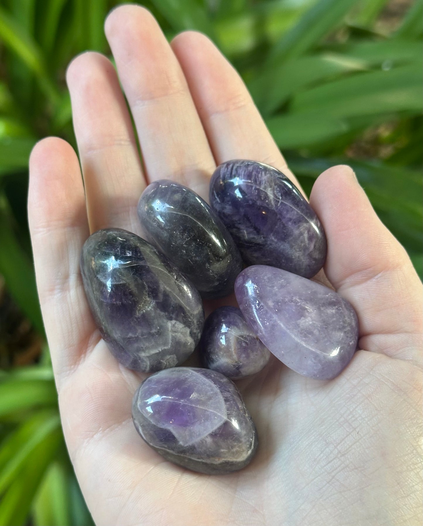 Dream Amethyst Tumble