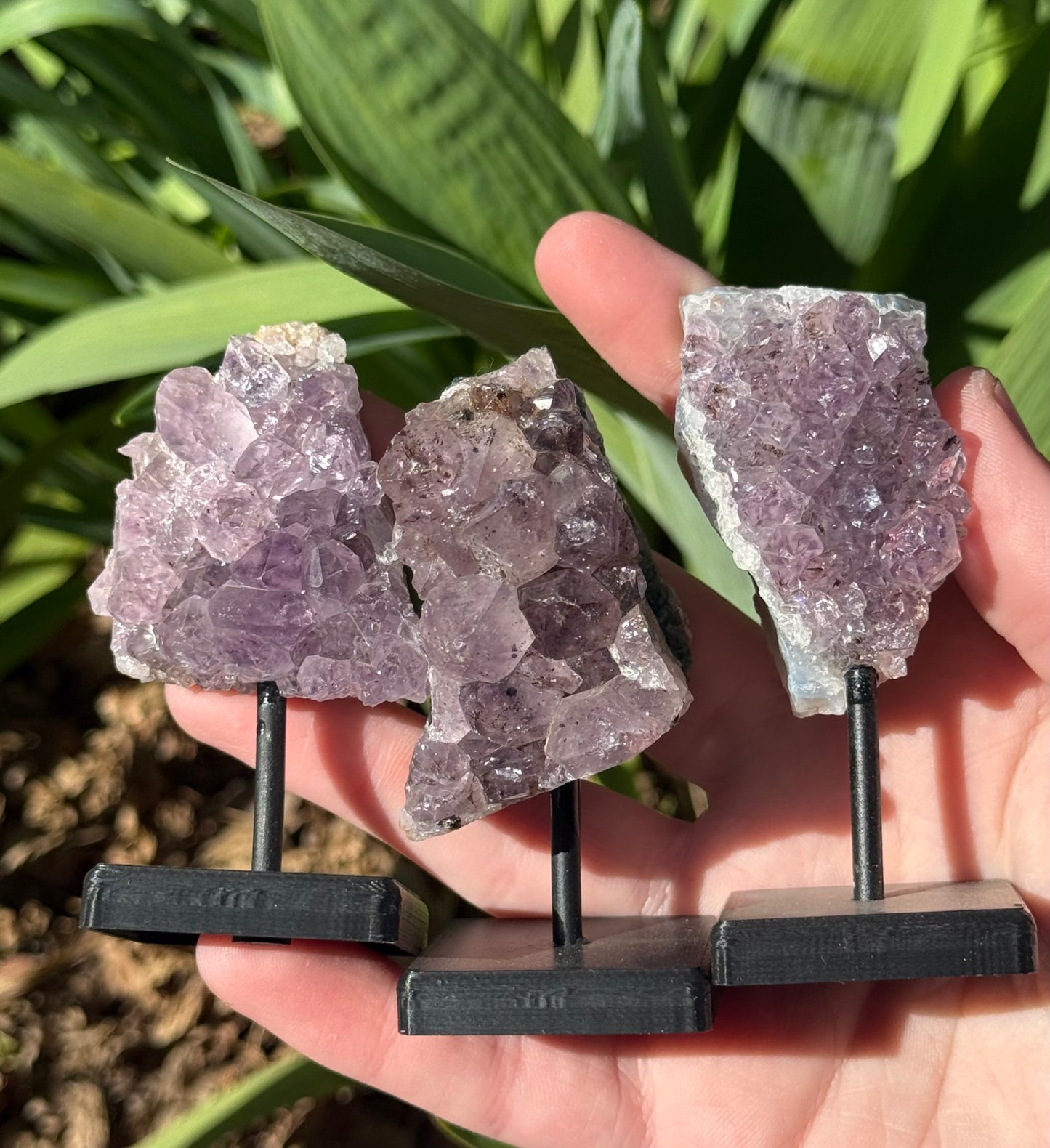 Amethyst Clusters on Stand