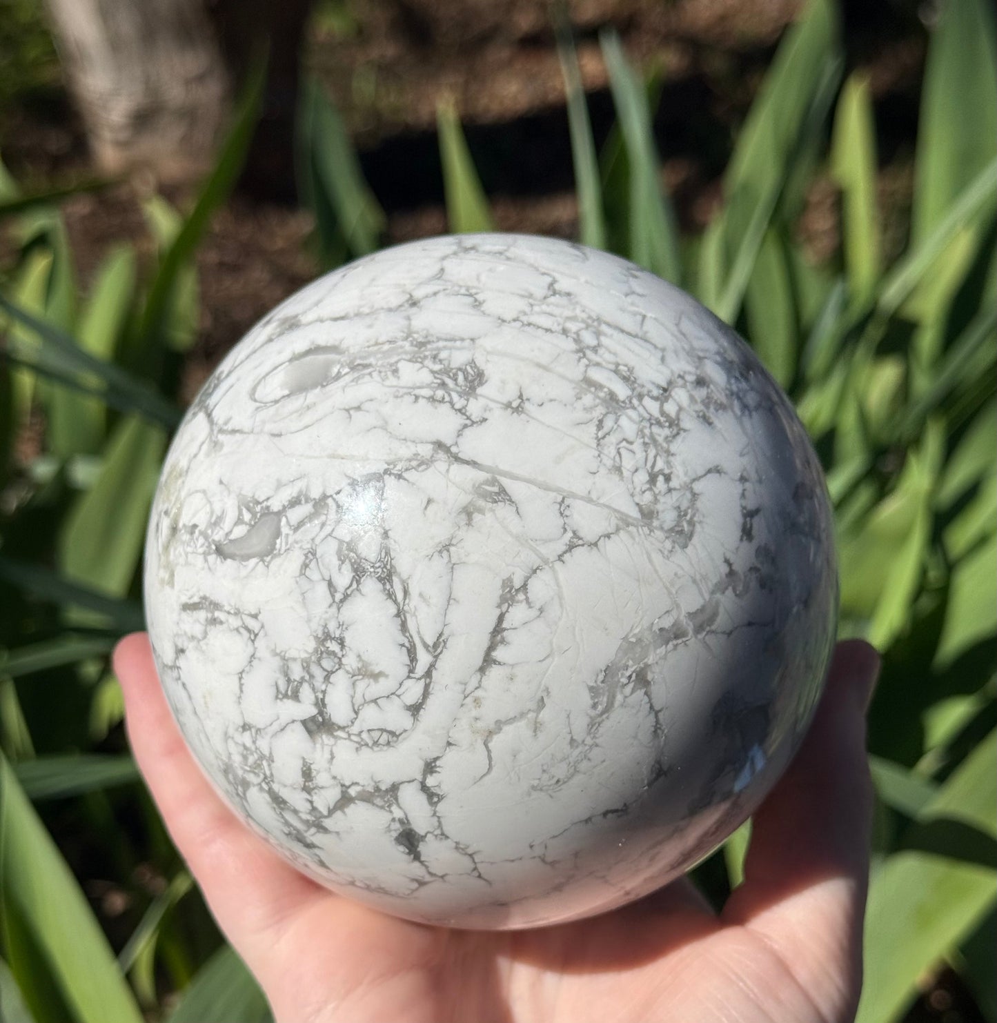 XL Howlite Sphere