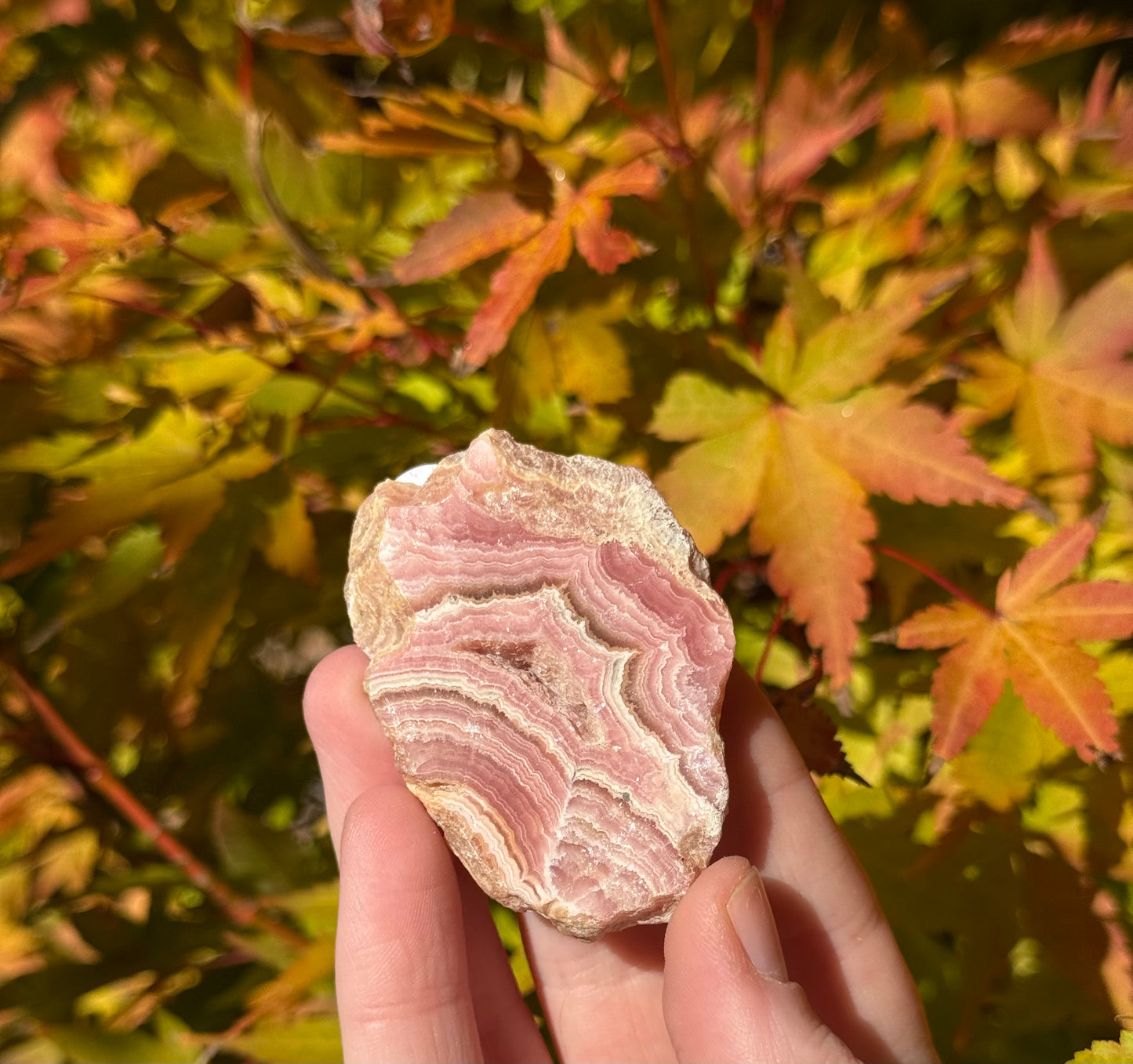 High Grade Rhodochrosite Slab #2