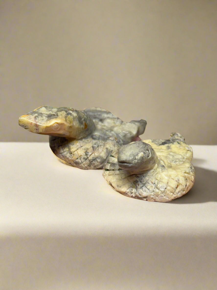 Crazy Lace Snake