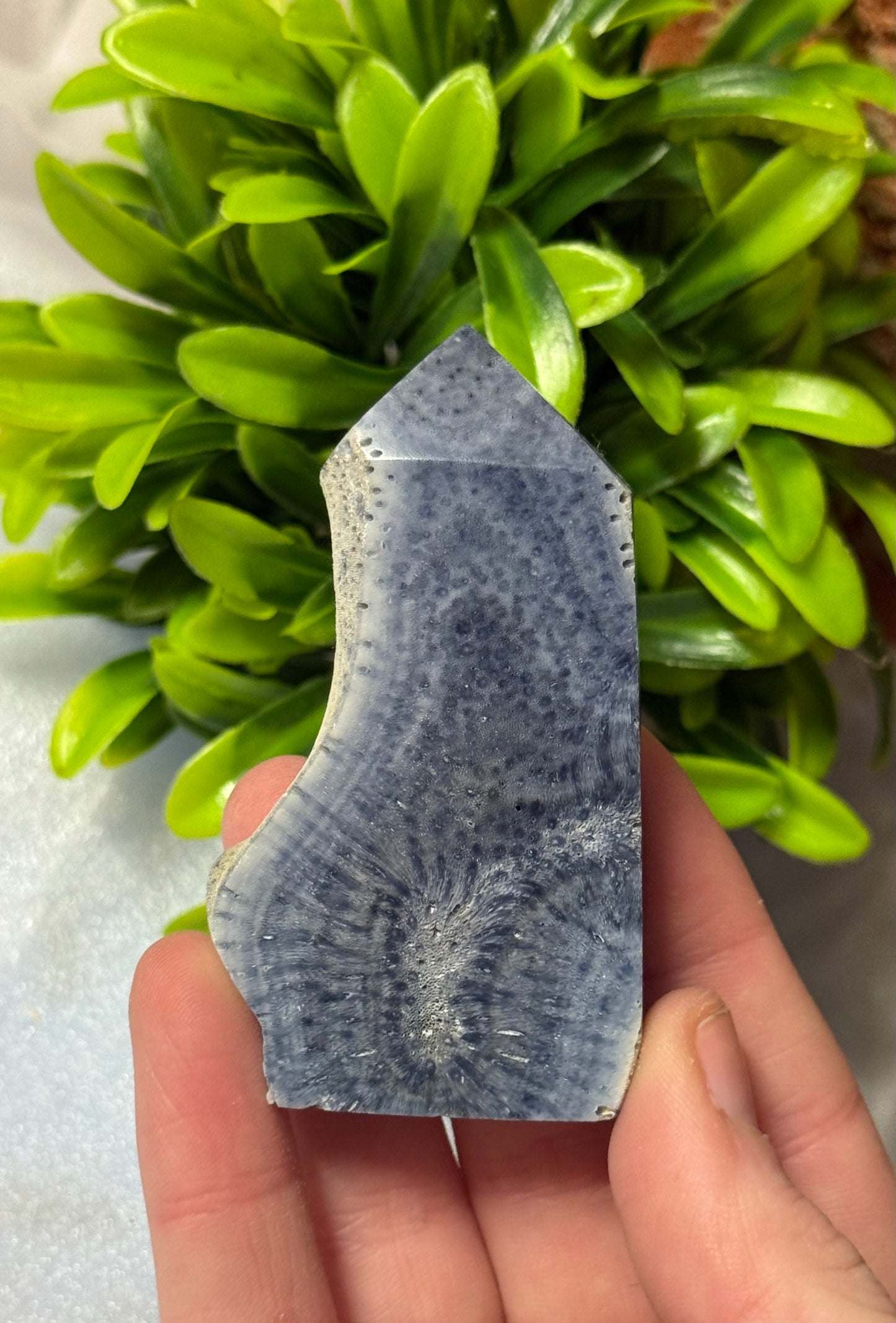 Coral Jasper Towers