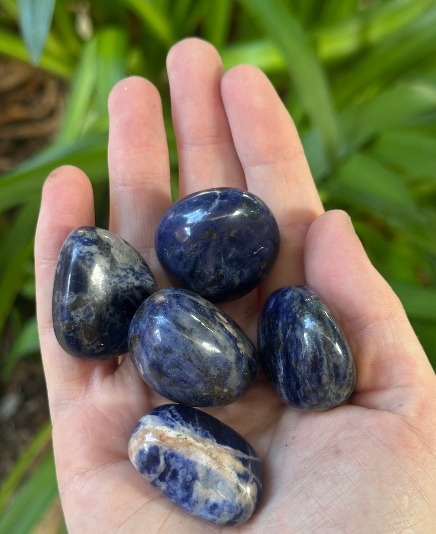 Sodalite Tumble