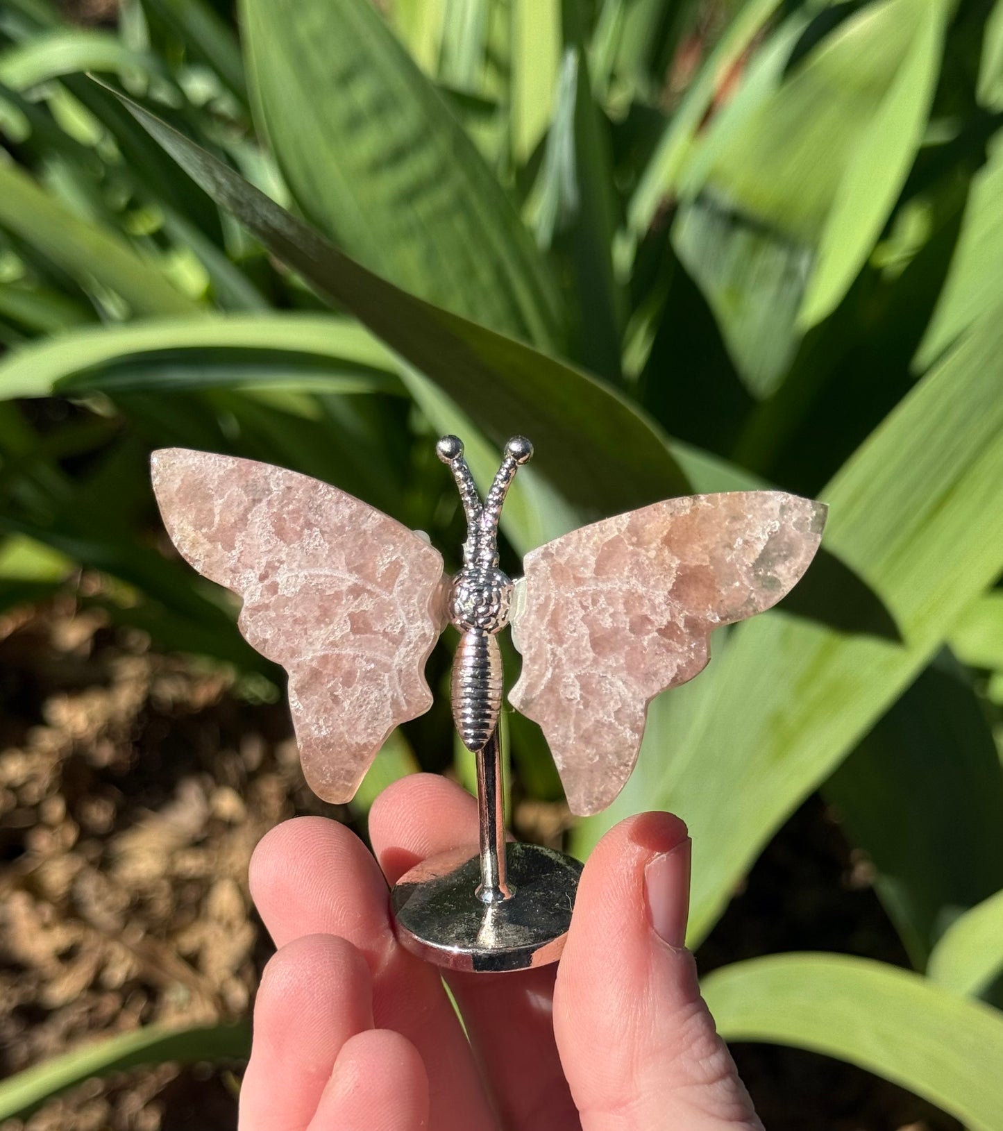 Butterfly Wings on Stand