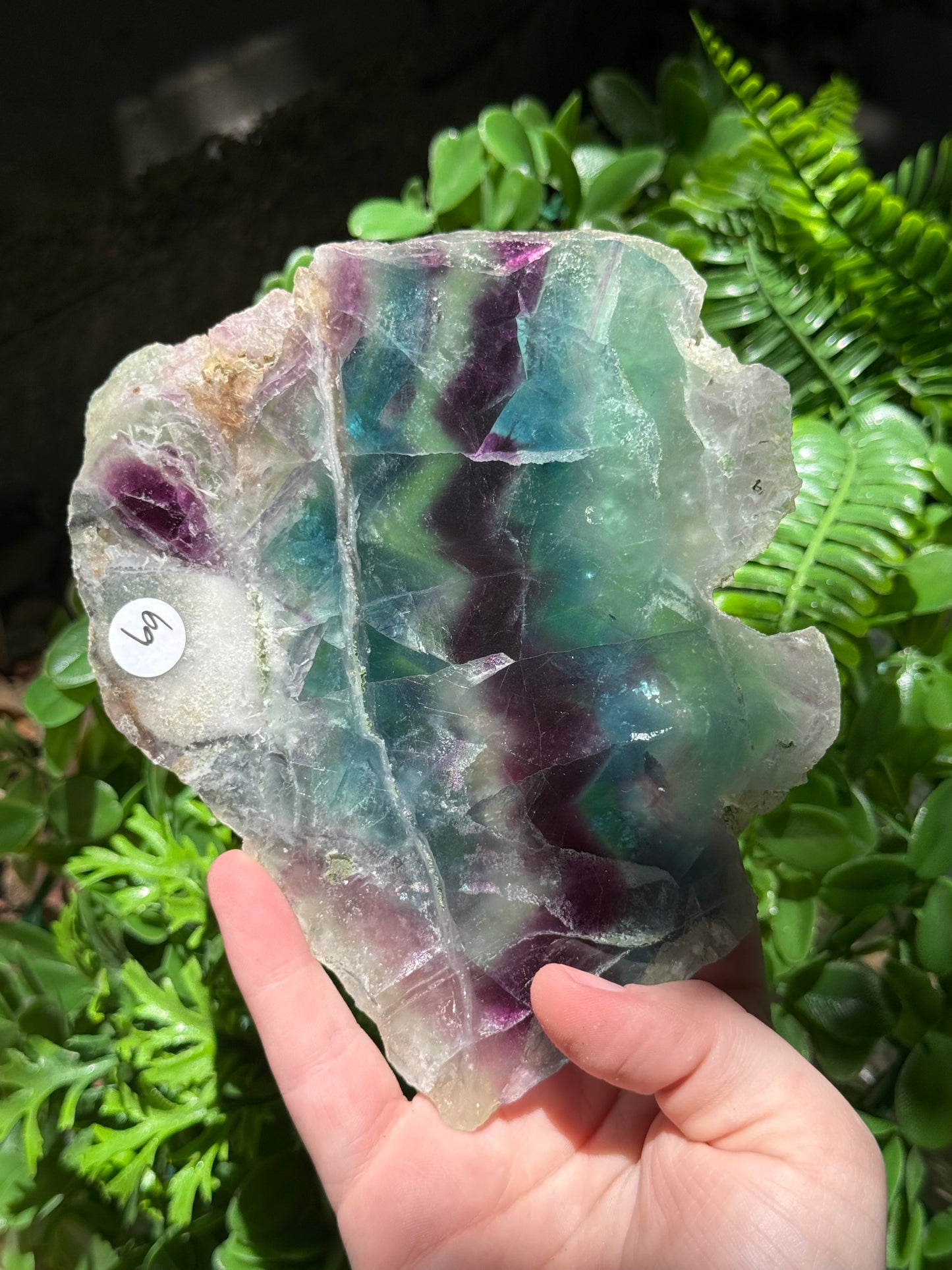 Fluorite Slabs