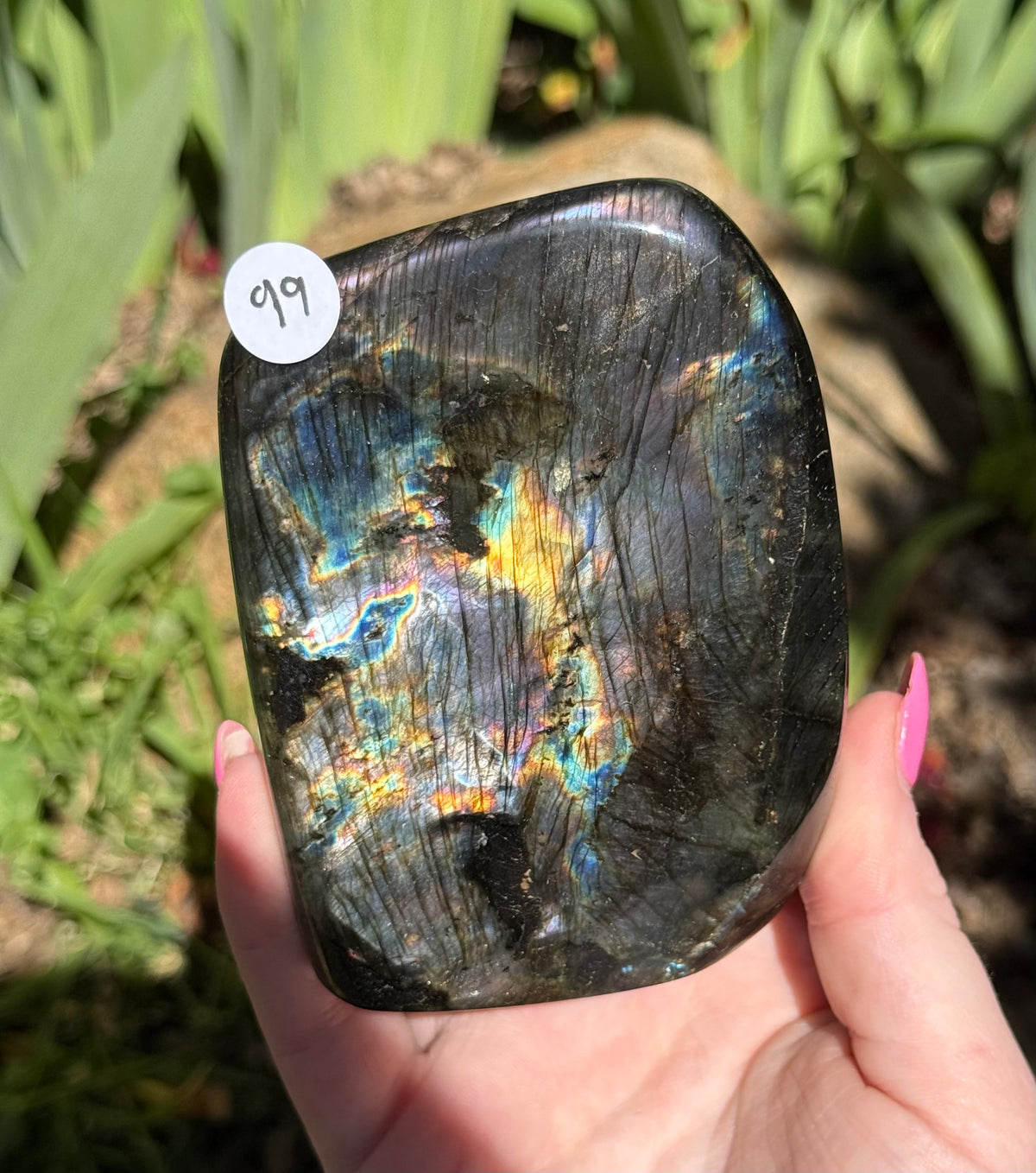 Labradorite Freeforms