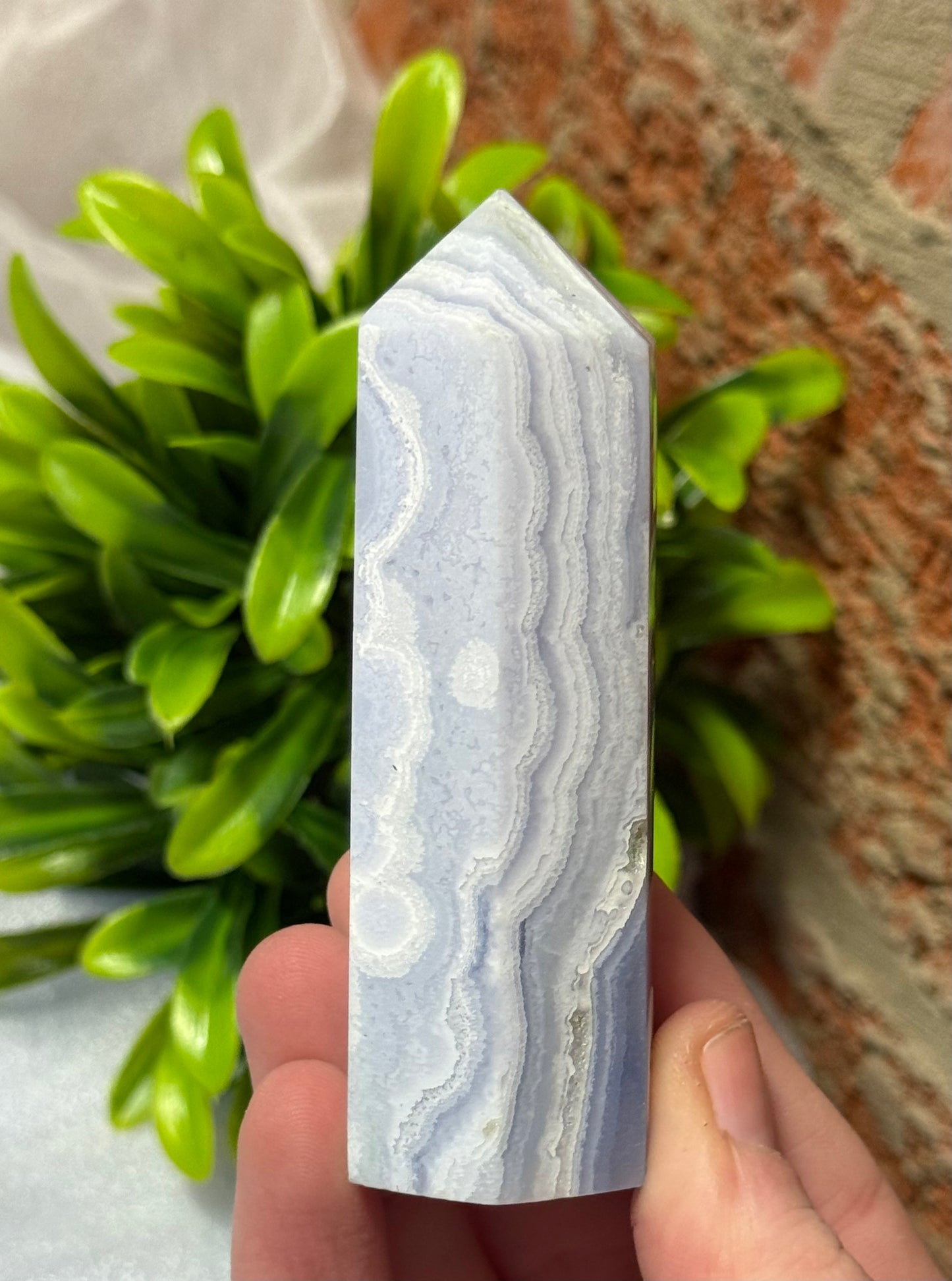 Blue Lace Points