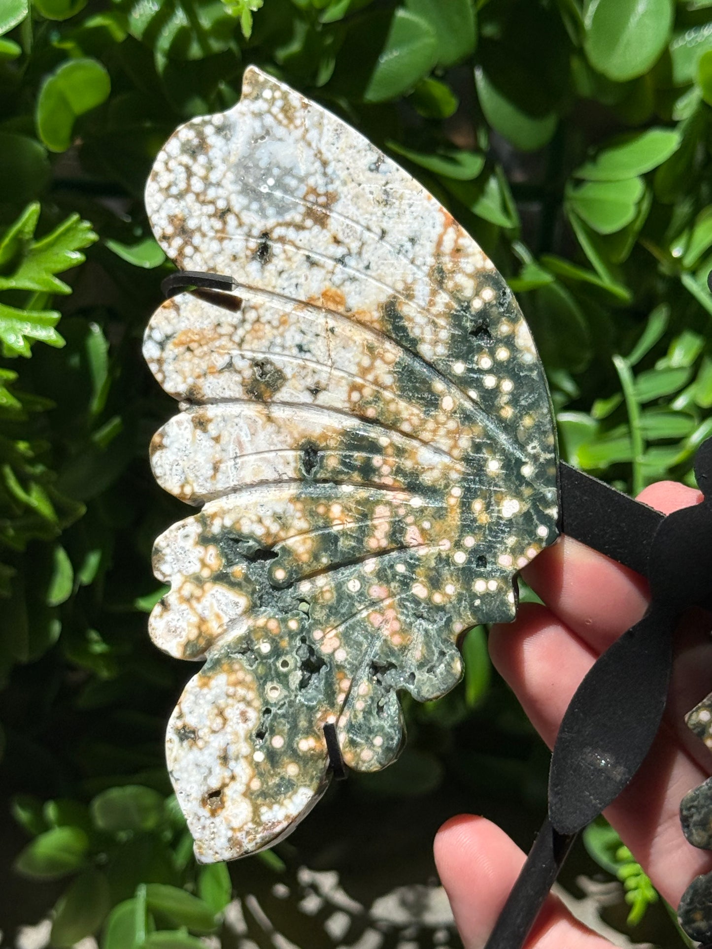 Orbital Ocean Jasper Wings