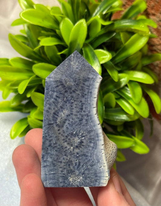 Coral Jasper Towers