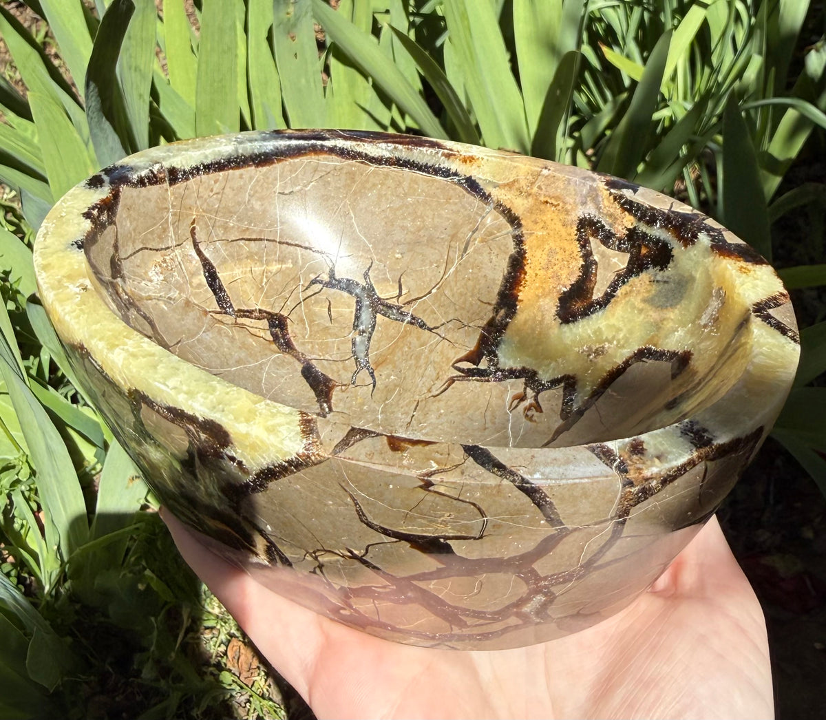 Septarian Bowl
