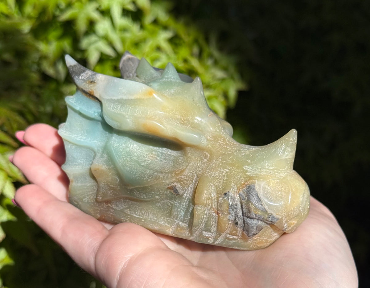 Assorted Dragon Heads