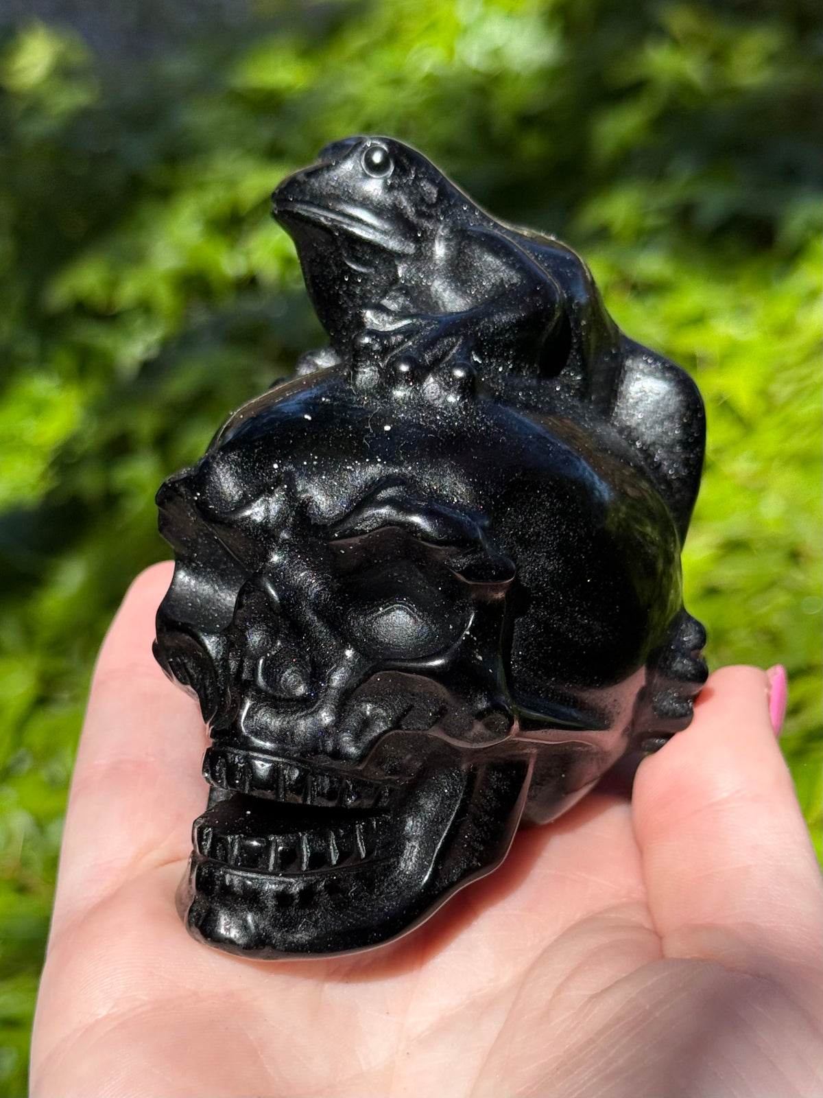 Frog on Skull
