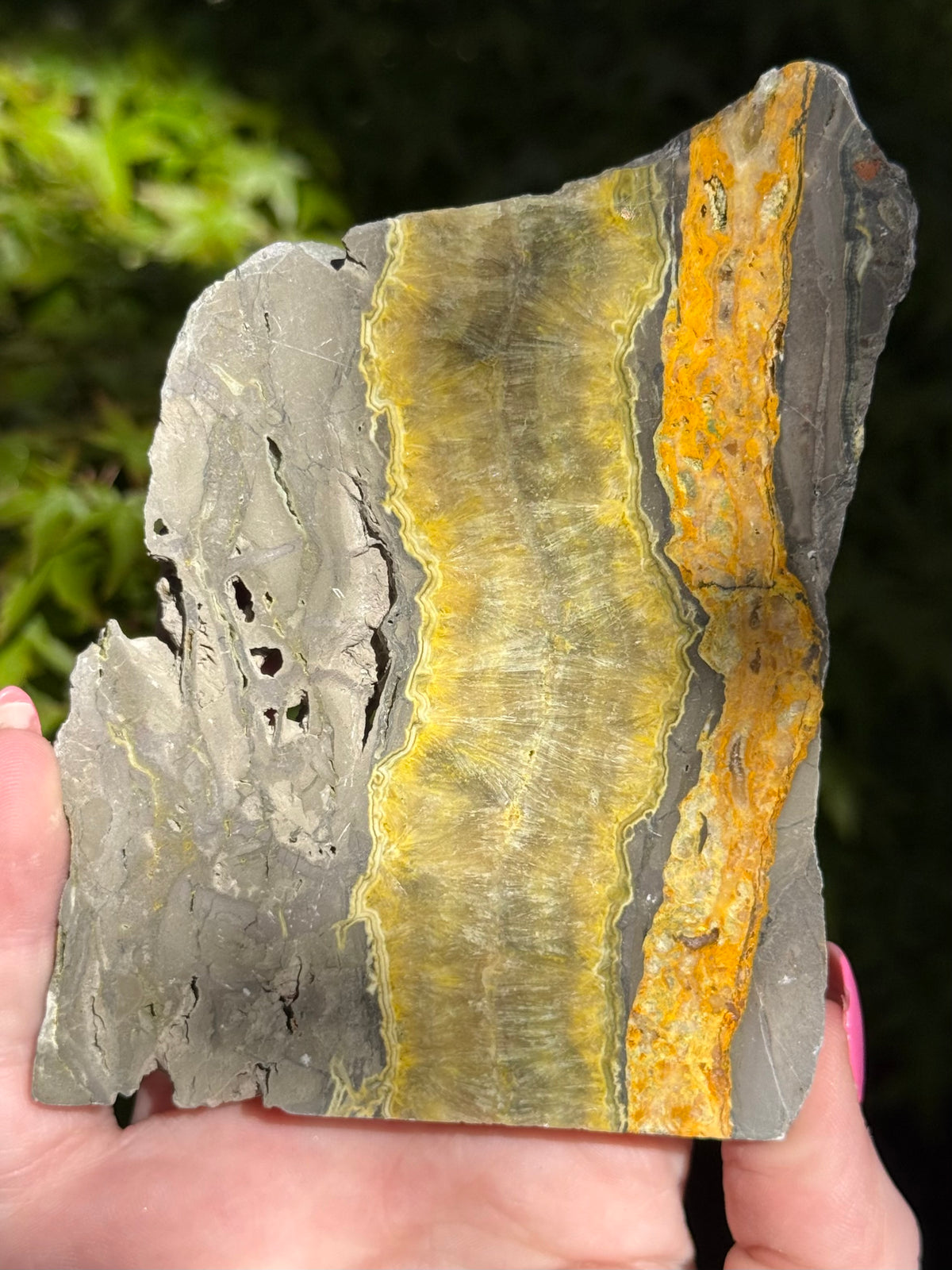 Bumblebee Jasper Slabs