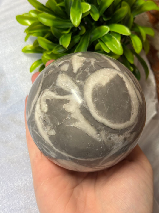 Shell Jasper Sphere