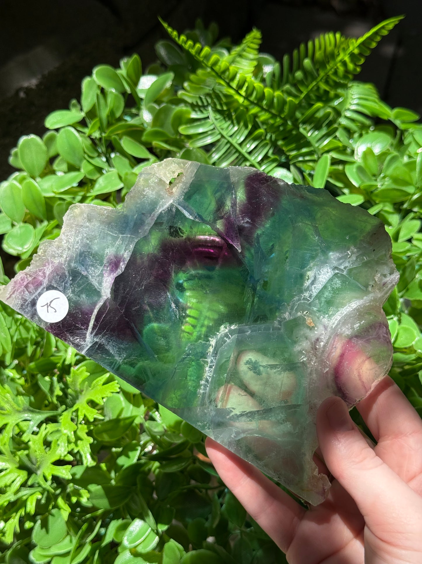 Fluorite Slabs