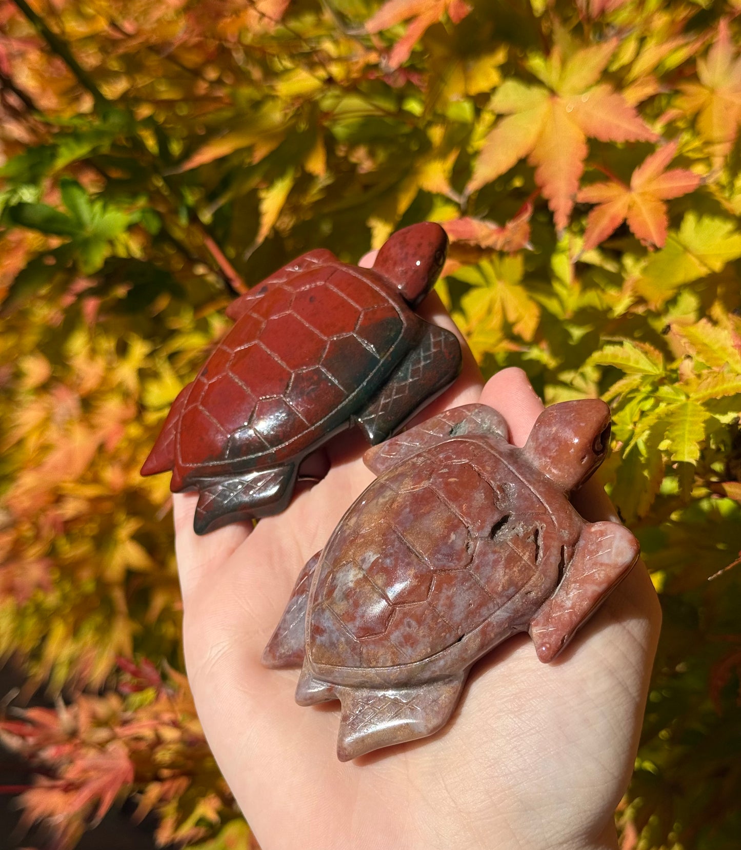 Ocean Jasper Turtles