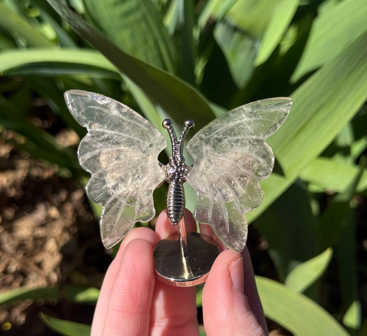 Butterfly Wings on Stand