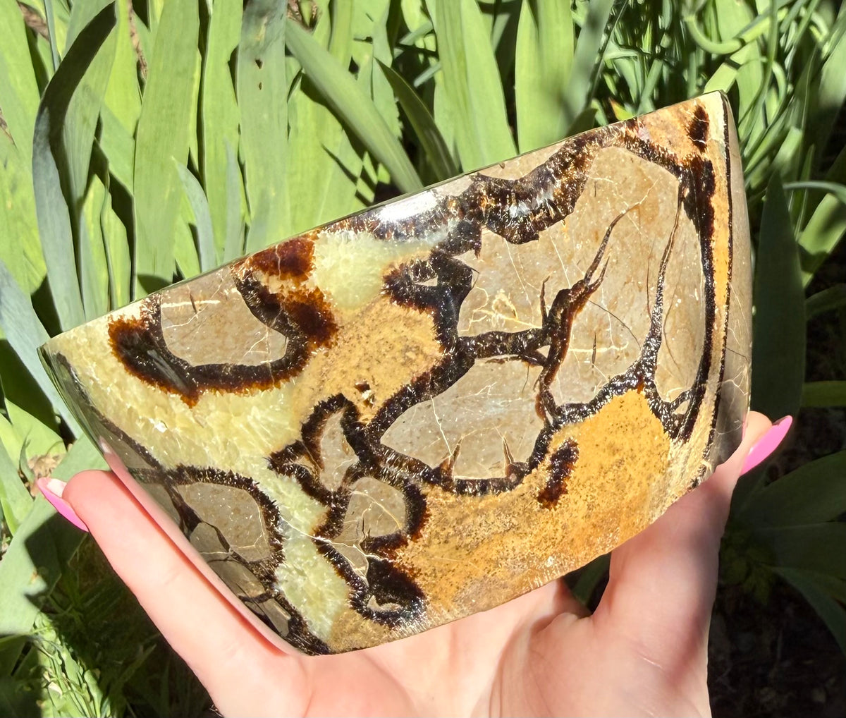 Septarian Bowl