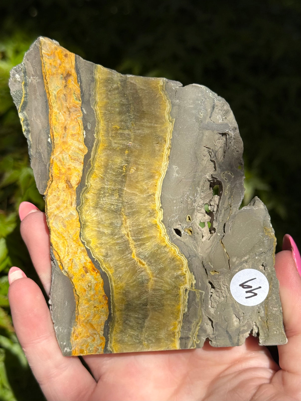 Bumblebee Jasper Slabs
